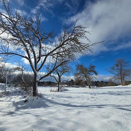 Вілла Gite La Menou Usson-en-Forez Екстер'єр фото