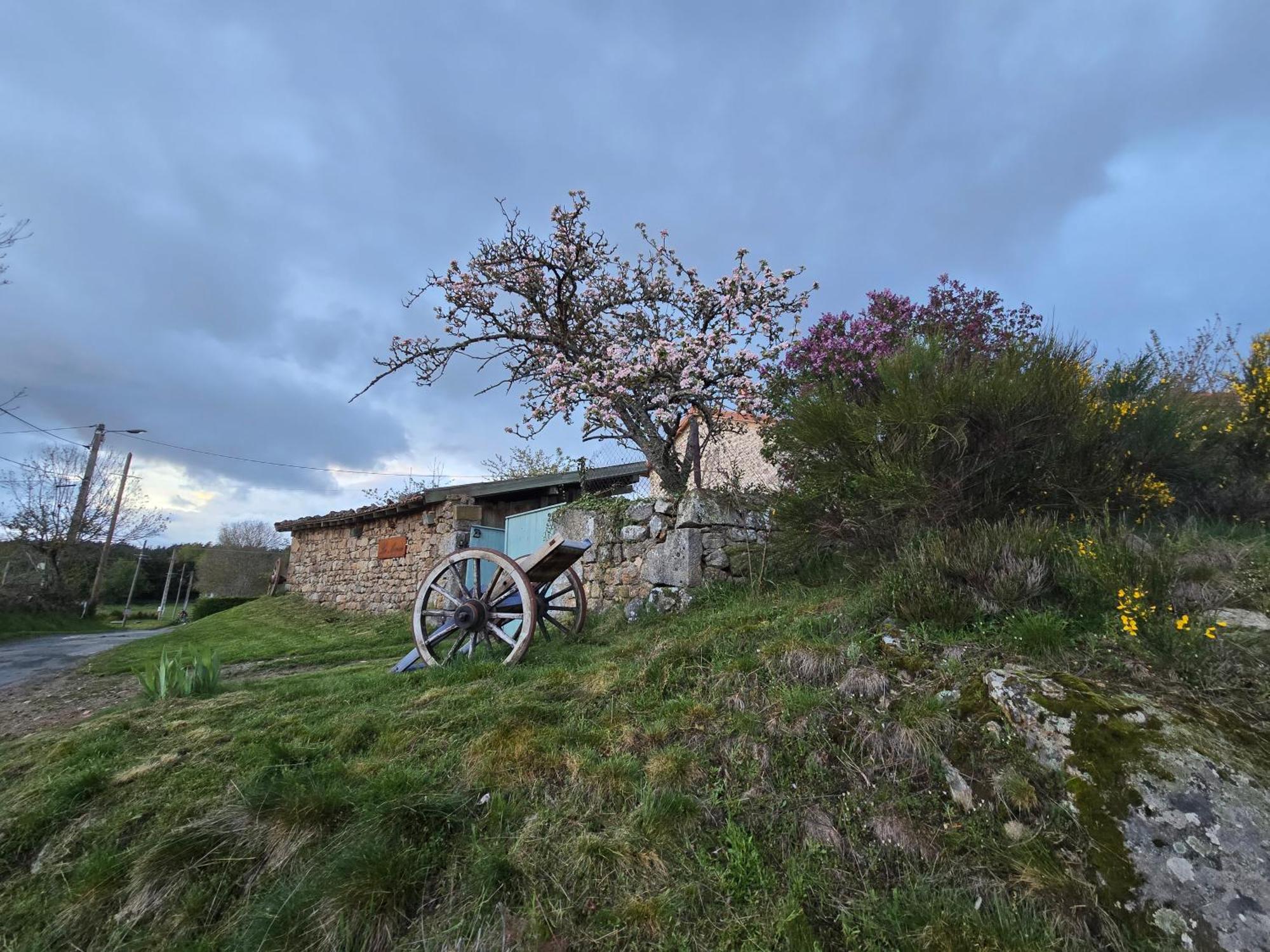 Вілла Gite La Menou Usson-en-Forez Номер фото